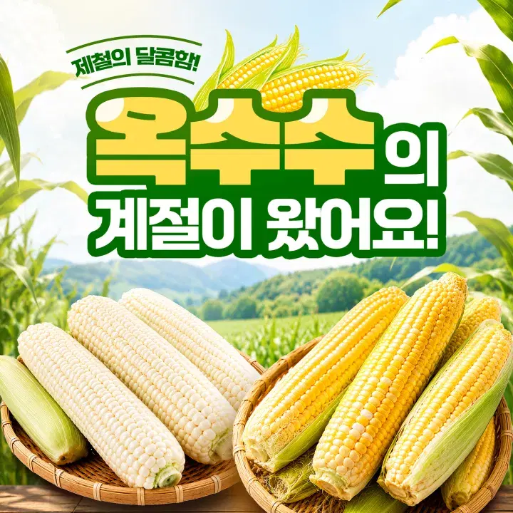 템플리로 만든 홍보 콘텐츠 템플릿 5