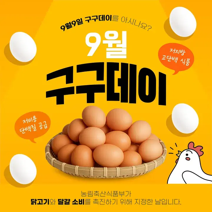 템플리로 만든 홍보 콘텐츠 템플릿 9