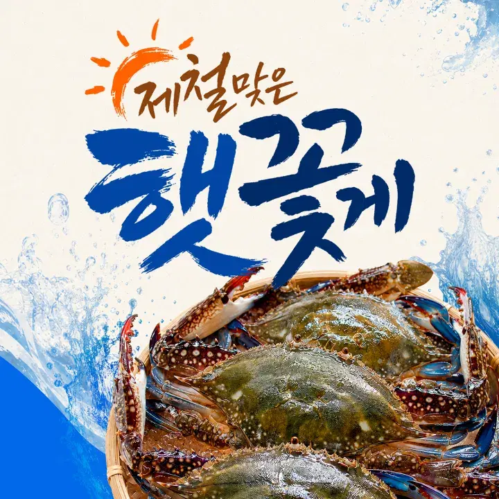 템플리로 만든 홍보 콘텐츠 템플릿 20